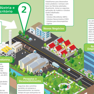 info_FIBRIA2017_NossoNegocio-4_CAPA