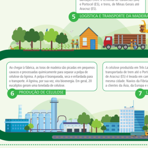 infografico_ModeloDeGestao_web_port_CAPA
