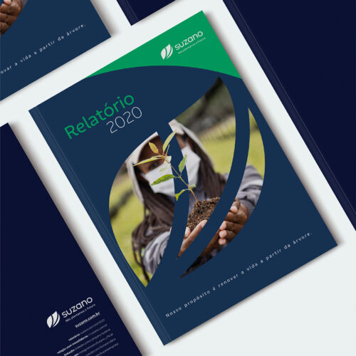 portfolio_RA-suzano2020