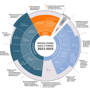 Instituto-Assai_Metas-Trienio