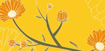 Galeria Adesign — imagem 3 Galeria Adesign — imagem 3